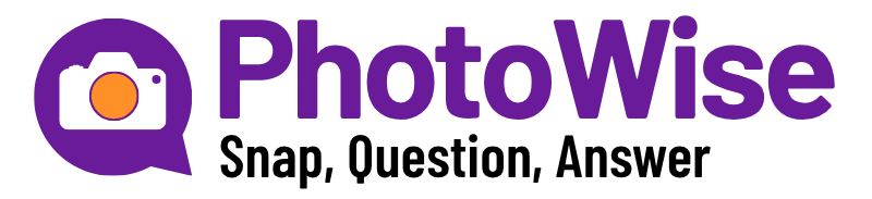 Photowise Logo